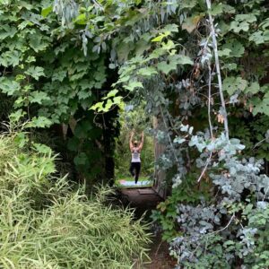 Jonge Hond die aan yoga doet