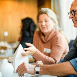 Complexe uitdagingen ontrafelen met VormTaal